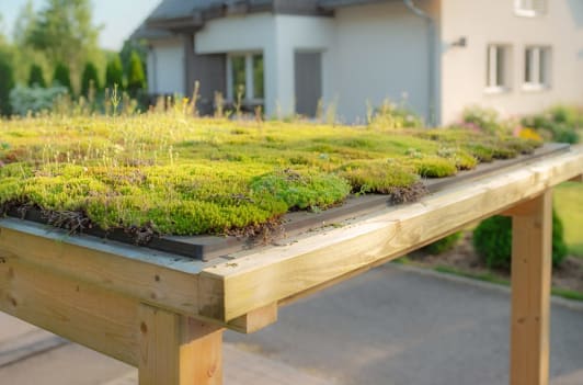 Dachbegrünung Carport