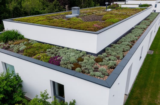 Flachdach begrünen