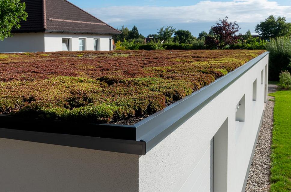 Dachbegrünung Komplettpaket