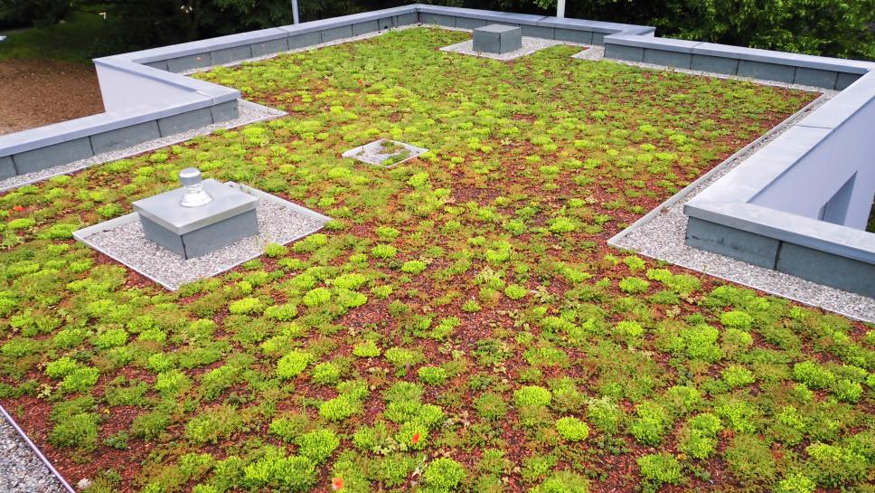 Dachbegrünung Set