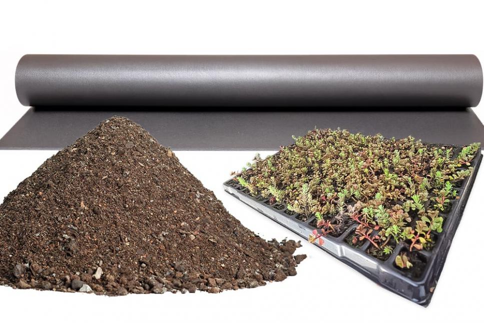 Komplettpaket Dachbegrünung